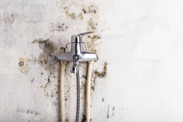 Best Mold Testing  in Lansford, PA