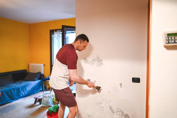 Best Certified Mold Removal  in Lansford, PA